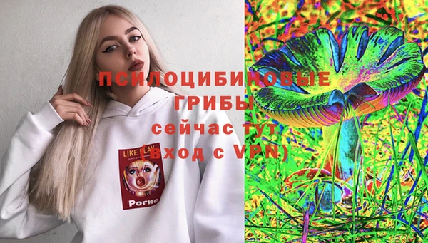 герыч Липки