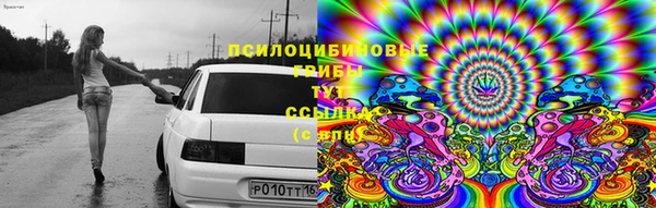прущая мука Магас