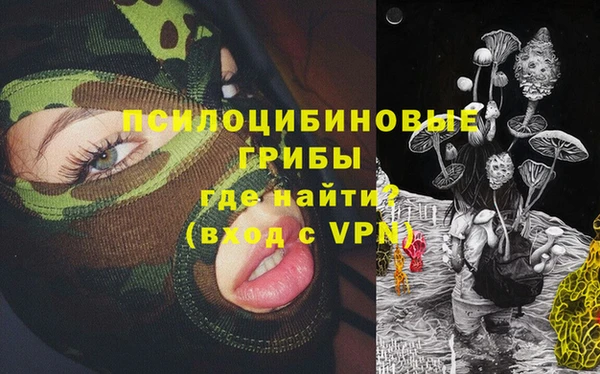 прущая мука Магас