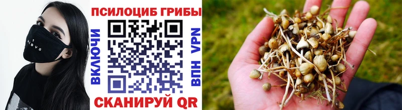 Галлюциногенные грибы прущие грибы Сураж
